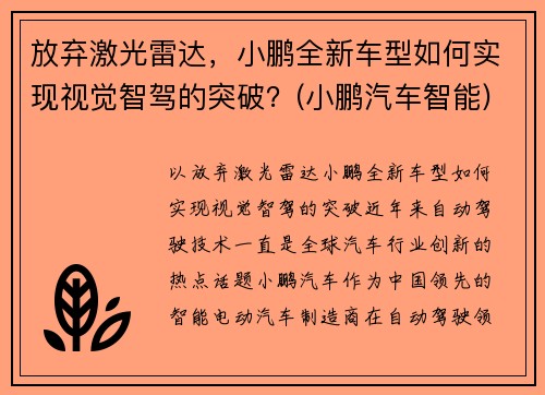 放弃激光雷达，小鹏全新车型如何实现视觉智驾的突破？(小鹏汽车智能)