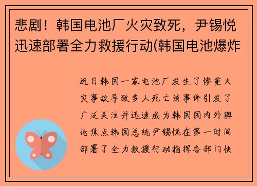 悲剧！韩国电池厂火灾致死，尹锡悦迅速部署全力救援行动(韩国电池爆炸)